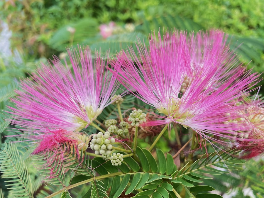 powder pink